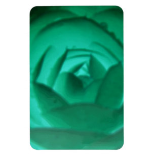 Flexible Magnet Premium Camellia Hypnotic