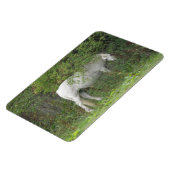 Flexible Magnet Premium Cheval Blanc timide (Côté Gauche)