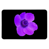 Flexible Magnet Premium d'anémone violet (Horizontal)