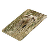 Flexible Magnet Premium de cochon mignon (Côté Gauche)