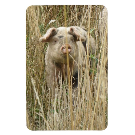 Flexible Magnet Premium de cochon mignon (Vertical)