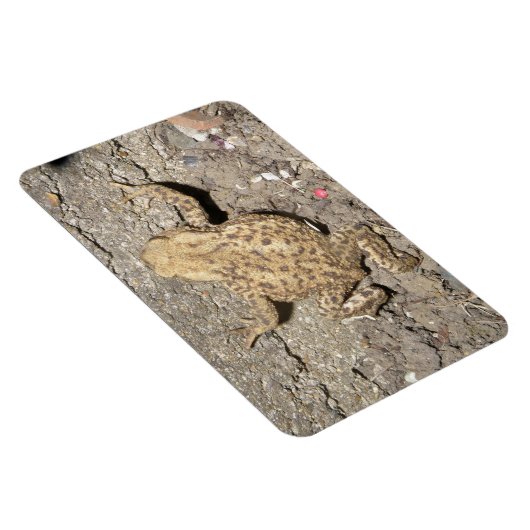 Flexible Magnet Premium de crapaud (Côté Droit)