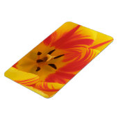 Flexible Magnet Premium Fiery Tulip (Côté Gauche)