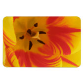 Flexible Magnet Premium Fiery Tulip (Horizontal)