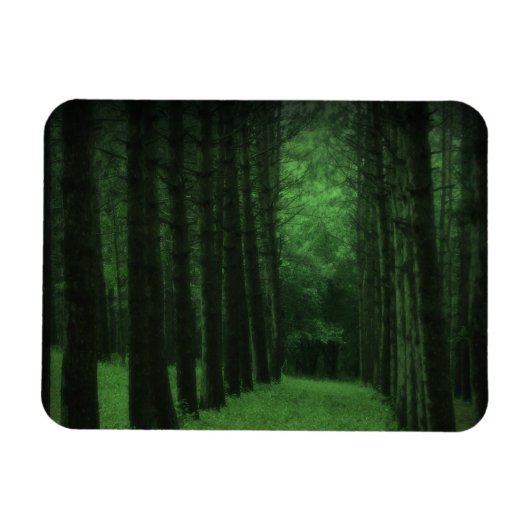 Flexible Magnet Premium Forêt enchantée (Horizontal)