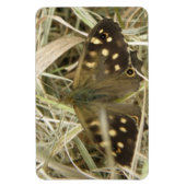 Flexible Magnet Premium Papillon en bois moucheté (Vertical)