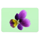 Flexible Magnet Premium Pretty Pansy (Horizontal)