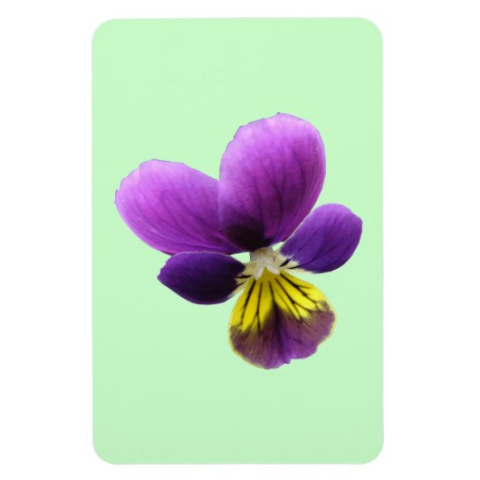 Flexible Magnet Premium Pretty Pansy (Vertical)