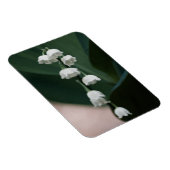 Flexible Magnet Premium Sweet Bells (Côté Droit)