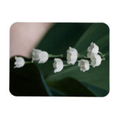 Flexible Magnet Premium Sweet Bells (Horizontal)