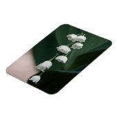 Flexible Magnet Premium Sweet Bells (Côté Gauche)