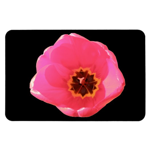Flexible Magnet Premium Tulip rose (Horizontal)