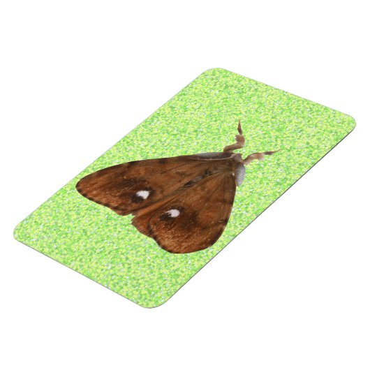Flexible Magnet Premium Vapourer Moth (Côté Gauche)