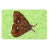 Flexible Magnet Premium Vapourer Moth (Horizontal)