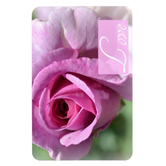 Flexible Magnet Rose d'été (Vertical)