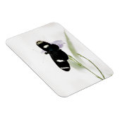 Flexible Magnet Sara Premium (Côté Droit)