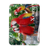 Flexible Magnet Scarlet Macaws (Vertical)