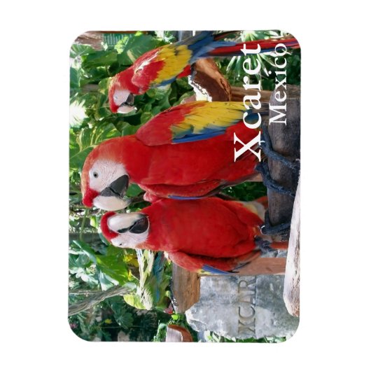 Flexible Magnet Scarlet Macaws (Vertical)
