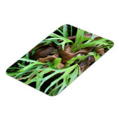Flexible Magnet - Staghorn Fern (Côté Gauche)