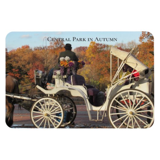 Flexible Magnet — Transport dans NYC Central Park (Horizontal)