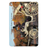 Flexible Magnet — Transport dans NYC Central Park (Vertical)
