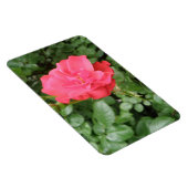 Flexible Magnet Wild Rose Premium (Côté Droit)