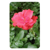 Flexible Magnet Wild Rose Premium (Vertical)