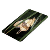 Flexible Magnifique Magnet Premium Moth (Côté Gauche)