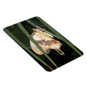 Flexible Magnifique Magnet Premium Moth (Côté Droit)