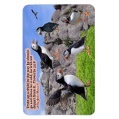 Flexible Magnifique Puffin Scripture Magnet Proverbes 22:6 (Vertical)