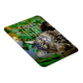 Flexible Maine Coon Chat Magnet Inspirant (Côté Droit)