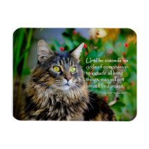 Maine Coon Chat Magnet Inspirant