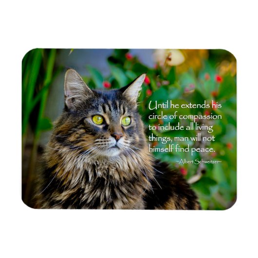 Flexible Maine Coon Chat Magnet Inspirant (Horizontal)