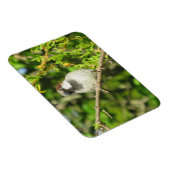 Flexible Maison Sparrow sur Lilac Bush Magnet (Côté Droit)