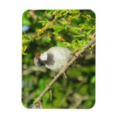 Flexible Maison Sparrow sur Lilac Bush Magnet (Vertical)