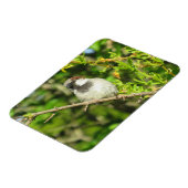 Flexible Maison Sparrow sur Lilac Bush Magnet (Côté Gauche)