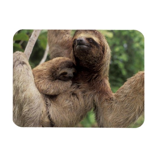 Flexible Mama Sloth Et Baby Magnet (Horizontal)
