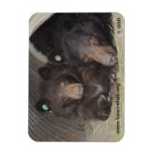 Flexible Maman & petits 2013 Premium Flexi Magnet (Vertical)