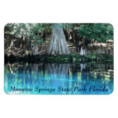 Flexible Manatee Springs Fl Flexi Magnet (Horizontal)