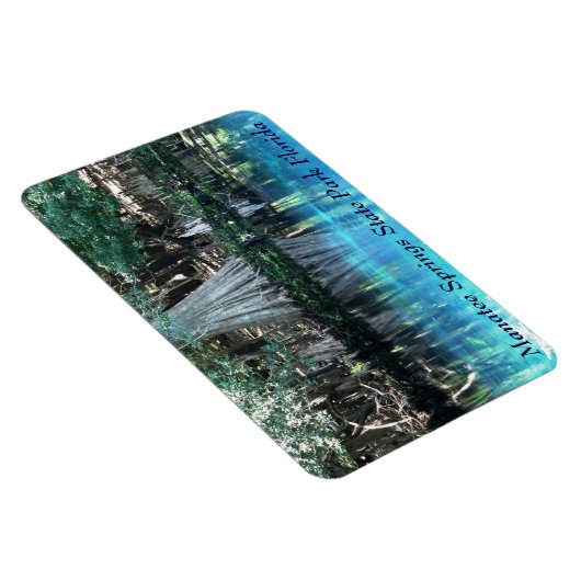 Flexible Manatee Springs Fl Flexi Magnet (Côté Droit)