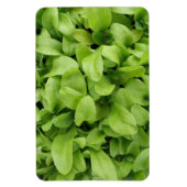 Flexible Marigold Seedlings Premium Magnet (Vertical)