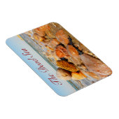 Flexible Mer Morte, Jordanie Magnet (Côté Droit)