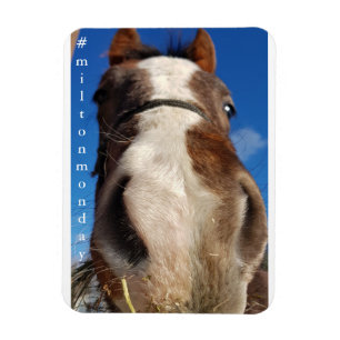 Flexible Milton Lundi Magnet