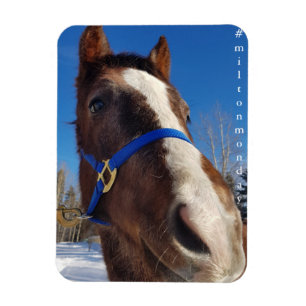 Flexible Milton Lundi Magnet