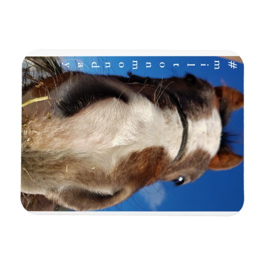 Flexible Milton Monday Magnet (Horizontal)