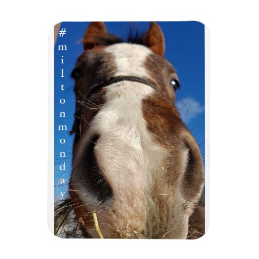 Flexible Milton Monday Magnet (Vertical)