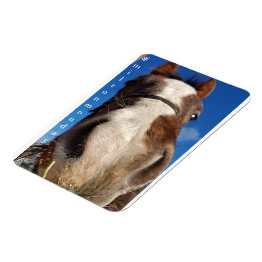 Flexible Milton Monday Magnet (Côté Gauche)