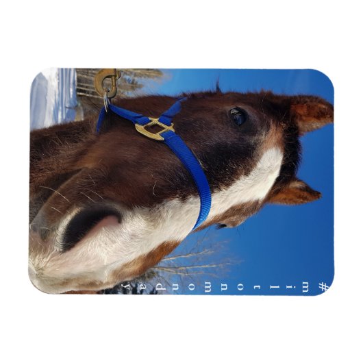 Flexible Milton Monday Magnet (Horizontal)