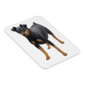 Flexible Miniature Pinscher Miniature Pin Premium Magnet (Côté Droit)