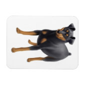 Flexible Miniature Pinscher Miniature Pin Premium Magnet (Horizontal)